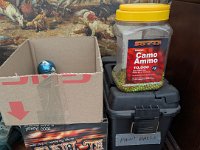 PXL 20251022 171955303