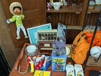 PXL 20250909 190716296