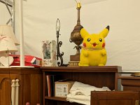 PXL 20250909 190718992