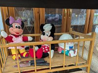 PXL 20250909 190932449