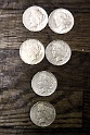 IMG 0342
