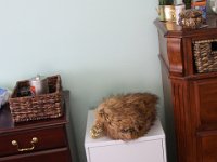 IMG 0473
