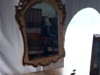 IMAG3443