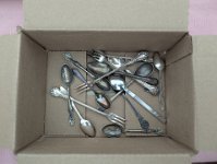 PXL 20250925 165557778